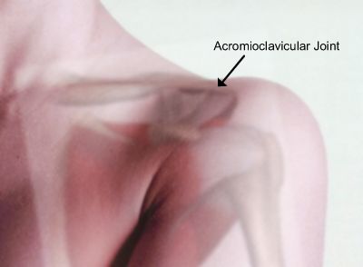 acromioclavicular joint